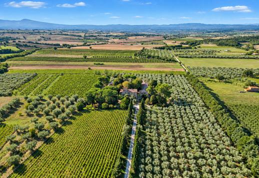 Išskirtinė 4300 m² istorinė valda netoli Bolsena ežero pakrančių Image 3
