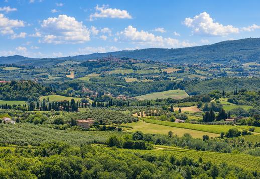 Complex of 1000 sqm across four buildings, with a period villa and annexe in the rural setting of Certaldo Image 5